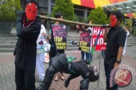 ProFauna: Tiga Jenis Primata Indonesia Terancam Punah