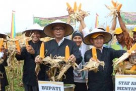 Kadistanak Rohil, Muslim:  Program Pajale Harus Sukses Tahun 2016 ini