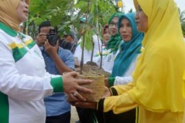 PKK Inhil Gelar Kegiatan Gerakan Perempuan Tanam dan Pelihara Pohon
