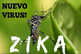 Negara tropis Asia bersiap hadapi Zika Page 1 Small