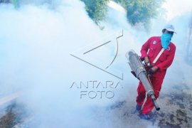 Dinkes : masyarakat jangan andalkan "fogging" antisipasi DBD