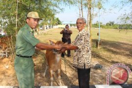 Tanah Bumbu Jadi Percontohan Gertak Birahi