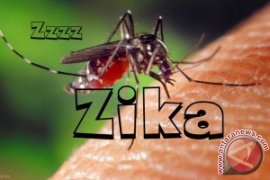 Peningkatan Pemeriksaan Zika di Perbatasan Tidak Efektif