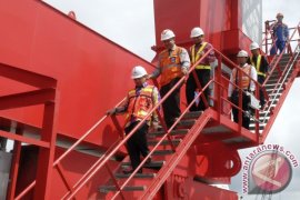 TINJAU CONTAINER CRANE BARU