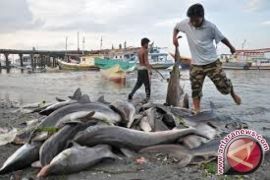 Efisiensi layanan, Dua UPTD pelabuhan di Lombok Timur bakal digabung