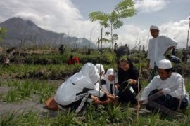 Konservasi Lingkungan, Gubernur Jateng Tradisikan Tanam Pohon 