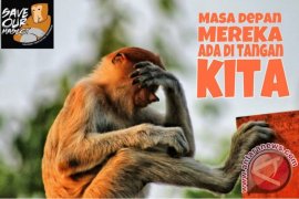 SBI Sediakan Program Adopsi Bekantan