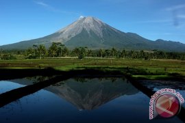 Upacara Bendera di Gunung Semeru Dibatasi Hingga Kalimati