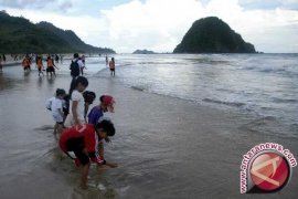 Arief Yahya Puji Pariwisata Banyuwangi