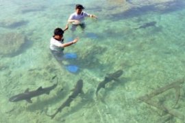 Tarik Wisatawan, Asita Fokus Jual Empat Destinasi Unggulan Jateng 