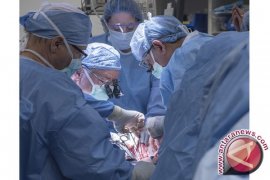 Para Dokter Lakukan Transplantasi Rahim Pertama Di Amerika Serikat