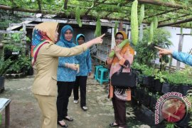 Pemerintah Imbau Masyarakat Optimalkan Lahan Pekarangan