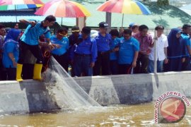 Gubernur Sulteng Panen Udang Vaname Supra Intensif
