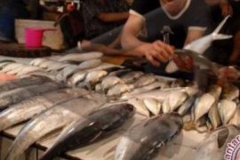 Harga Ikan di Pekanbaru Mulai Naik, Ibu-Ibu Rumah Tangga Mengeluh