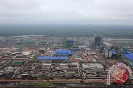 Industri bubur kertas bidik peringkat enam dunia 