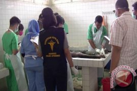 DVI: Mayat tanpa Kepala di Situbondo Korban Pembunuhan