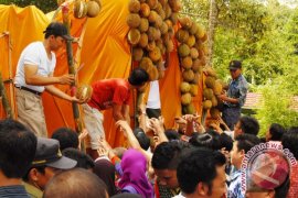 Kampung durian destinasi wisata baru di Lampung