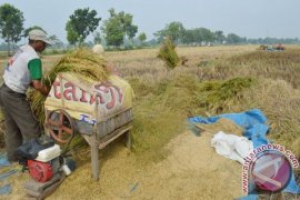 Pemkab Ngawi Minta Petani Waspadai Cuaca Ekstrem