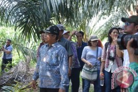 Seruyan Targetkan Petani Sawit Terdata Secara Online