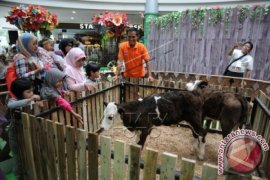 Berternak dan Berkebun di Mall