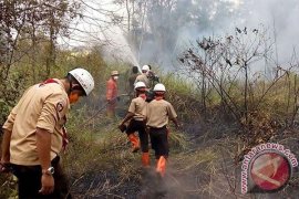 Zainuddin : Pramuka Adalah Garda Depan Perubahan