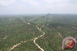 Penertiban kawasan hutan perlu selaras kepastian hukum HGU