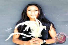 Petra Ingin Gelar Pameran Lukisan