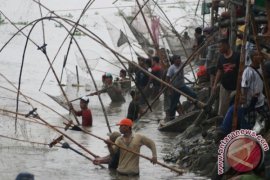 Cari Ikan Mabuk di Sungai