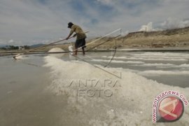 Pemerintah Perlu Mengoptimalkan Teknologi sebagai Solusi  Produktivitas Garam