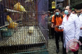 Pencegahan Flu Burung