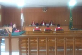 Jual Tiga Bayi Orang Utan, Jaksa Tuntut Terdakwa 3 Tahun Penjara