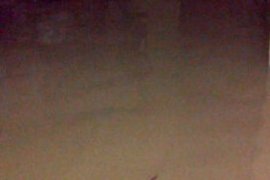 Sejumlah Ruas Jalan dan Rumah di Pekanbaru Tergenang Banjir