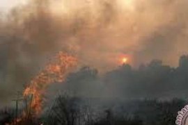 Jaga Lahan Tidak Terbakar, Perusahaan Diminta Ade Hartati Intensif Berkoordinasi 