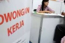 Informasi Lowongan Kerja, Disnaker Pekanbaru Segera Luncurkan Layanan Call Center