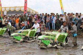 Pemprov Lampung Galakkan Pencetakan Sawah Baru