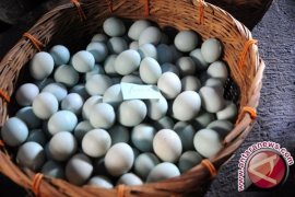 Usaha Telur Asin Cerah di Aceh Utara