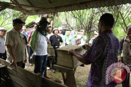 HKTI Kapuas Kunjungi Tala