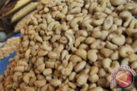 Eropa buka kuota 700 ton ekspor biji mete dari Buton Utara