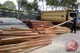 Dishutbun Penajam Lelang Puluhan Kubik Kayu Ilegal  