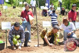 Bentoel Group gandeng petani tanam 100.000 pohon