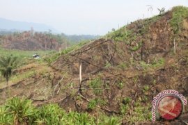 Swasta serahkan lahan 347,4 hektare kepada masyarakat singkil