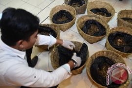 Perusakan Ekosistem Laut