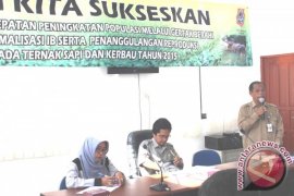Tanah Bumbu Sosialisasikan Inseminasi Buatan