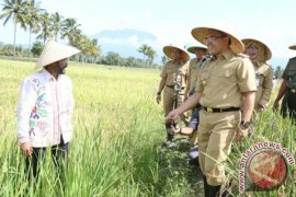 Bupati Banyuwangi: Pasar Beras Organik Semakin Terbuka