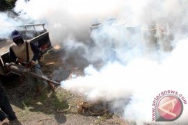 Kemenkes Terjunkan Peneliti Antisipasi Virus JE di Tulungagung