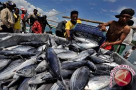 Nelayan Bagan Panen Raya