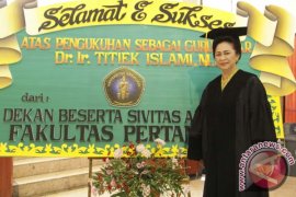 Pakar: Singkong Tanaman Bahan Pangan Masa Depan