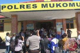 Polres Mukomuko tangkap dua pencuri sawit milik perusahaan