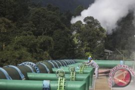 EARTH WIRE -- WWF, Arun to develop geothermal energy in Flores