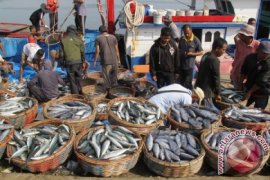 Harga ikan meningkat dratis di Sabang